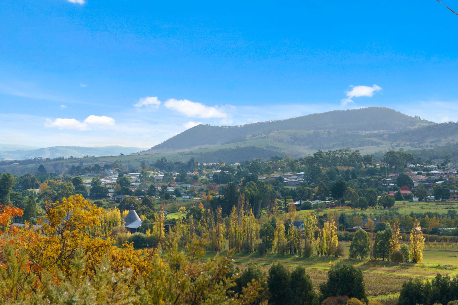 72 Sharland Avenue NEW NORFOLK 3