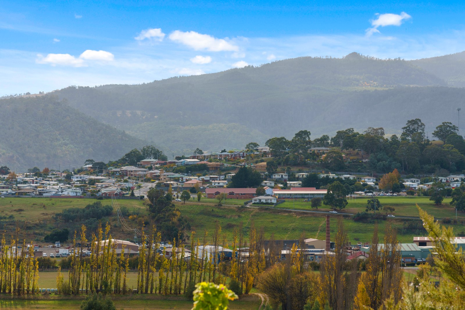 72 Sharland Avenue NEW NORFOLK 4