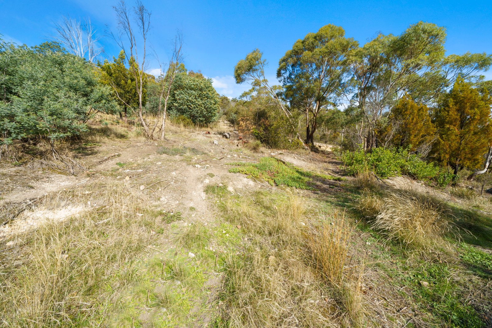 72 Sharland Avenue NEW NORFOLK 5