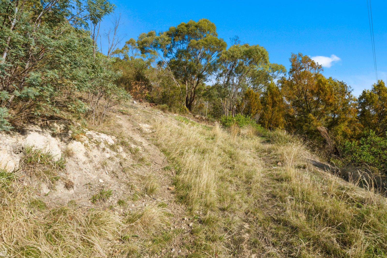 72 Sharland Avenue NEW NORFOLK 9