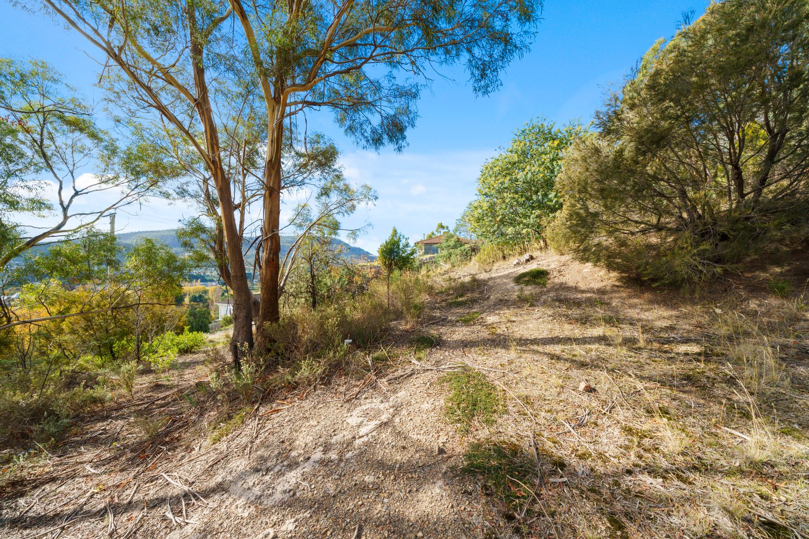 72 Sharland Avenue NEW NORFOLK 11