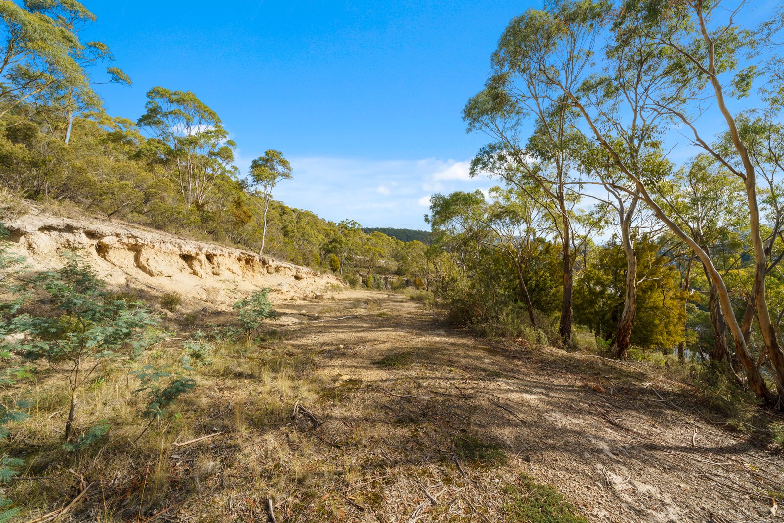 72 Sharland Avenue NEW NORFOLK 13