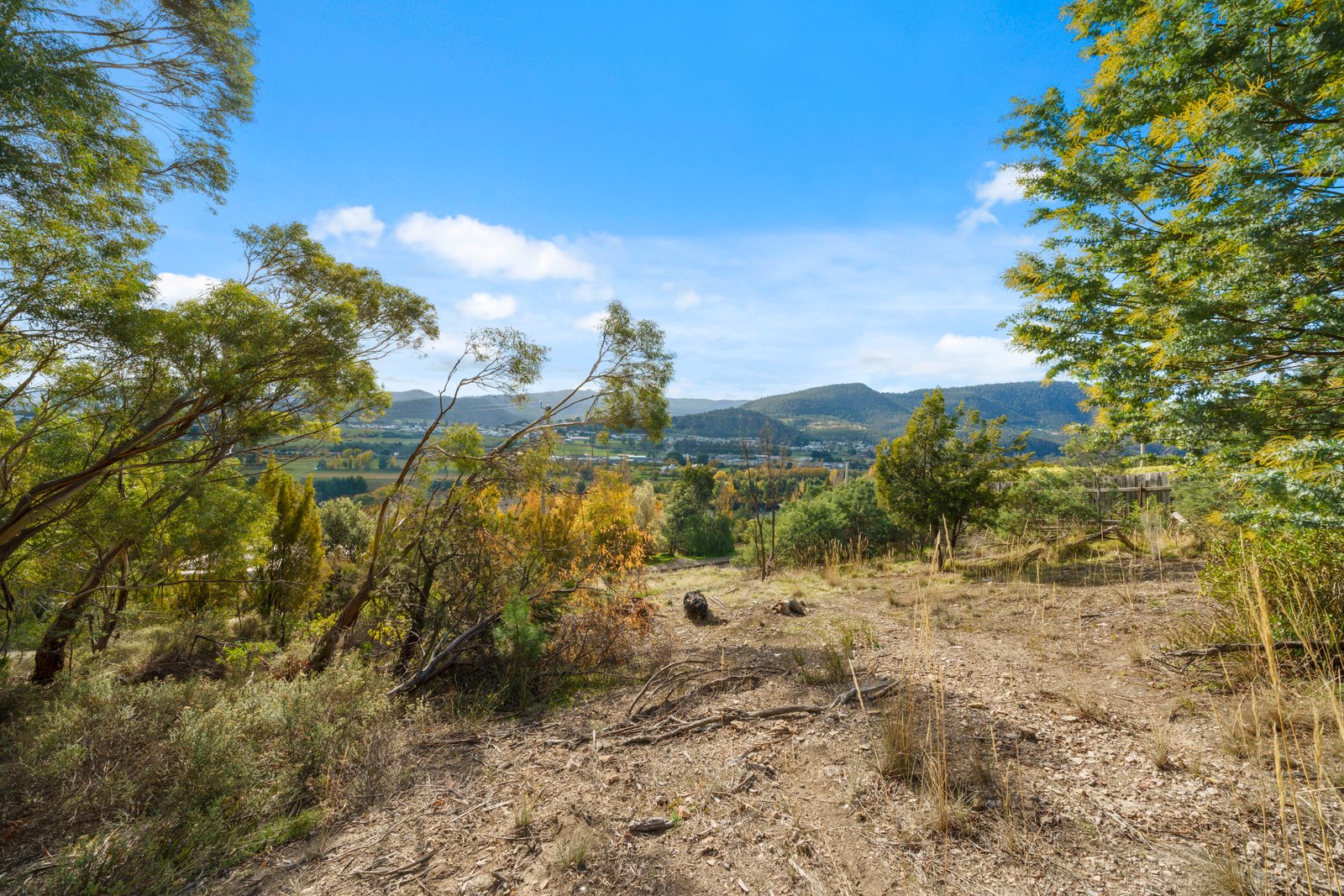 72 Sharland Avenue NEW NORFOLK 14