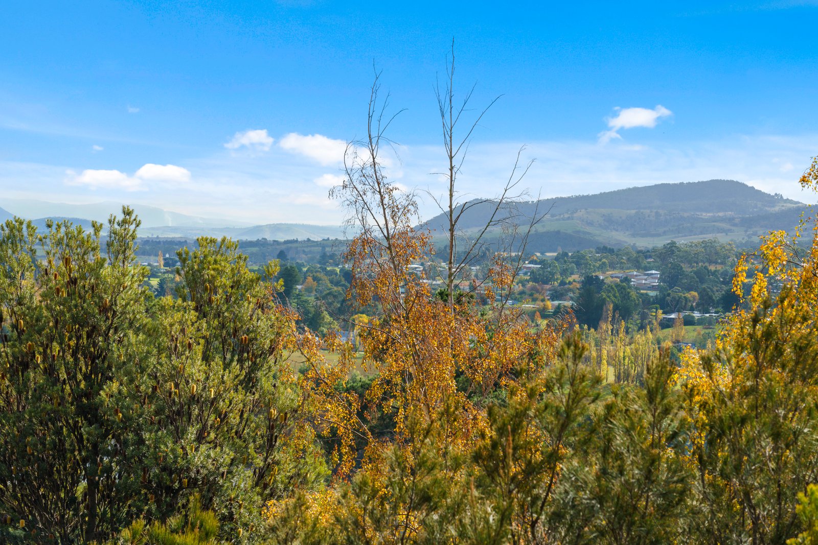 72 Sharland Avenue NEW NORFOLK 17