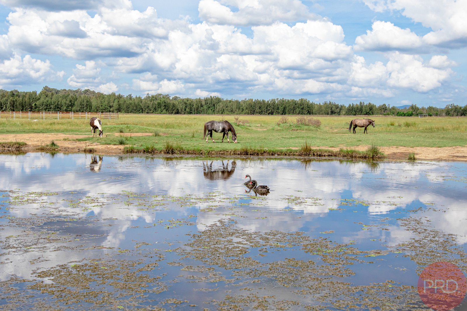 72 Wine Country Drive NULKABA 6