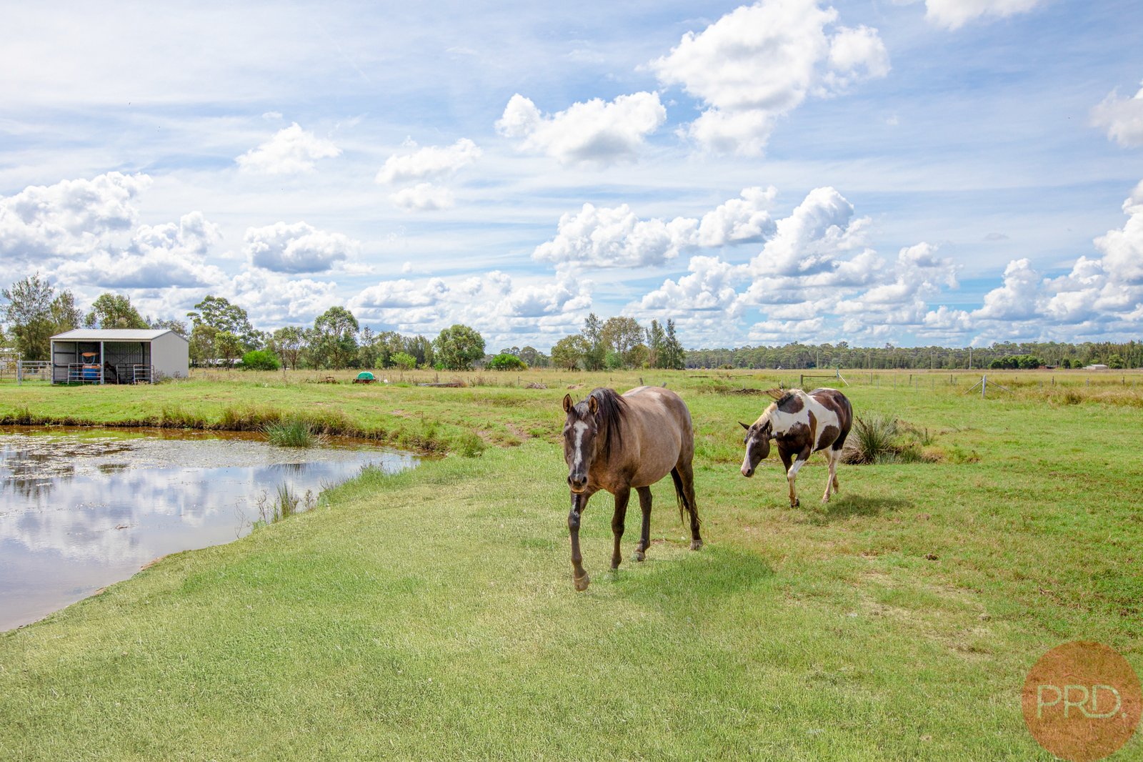 72 Wine Country Drive NULKABA 19