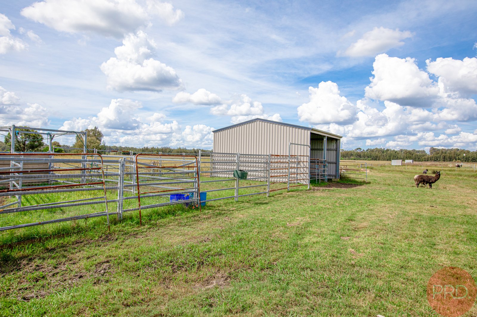 72 Wine Country Drive NULKABA 20