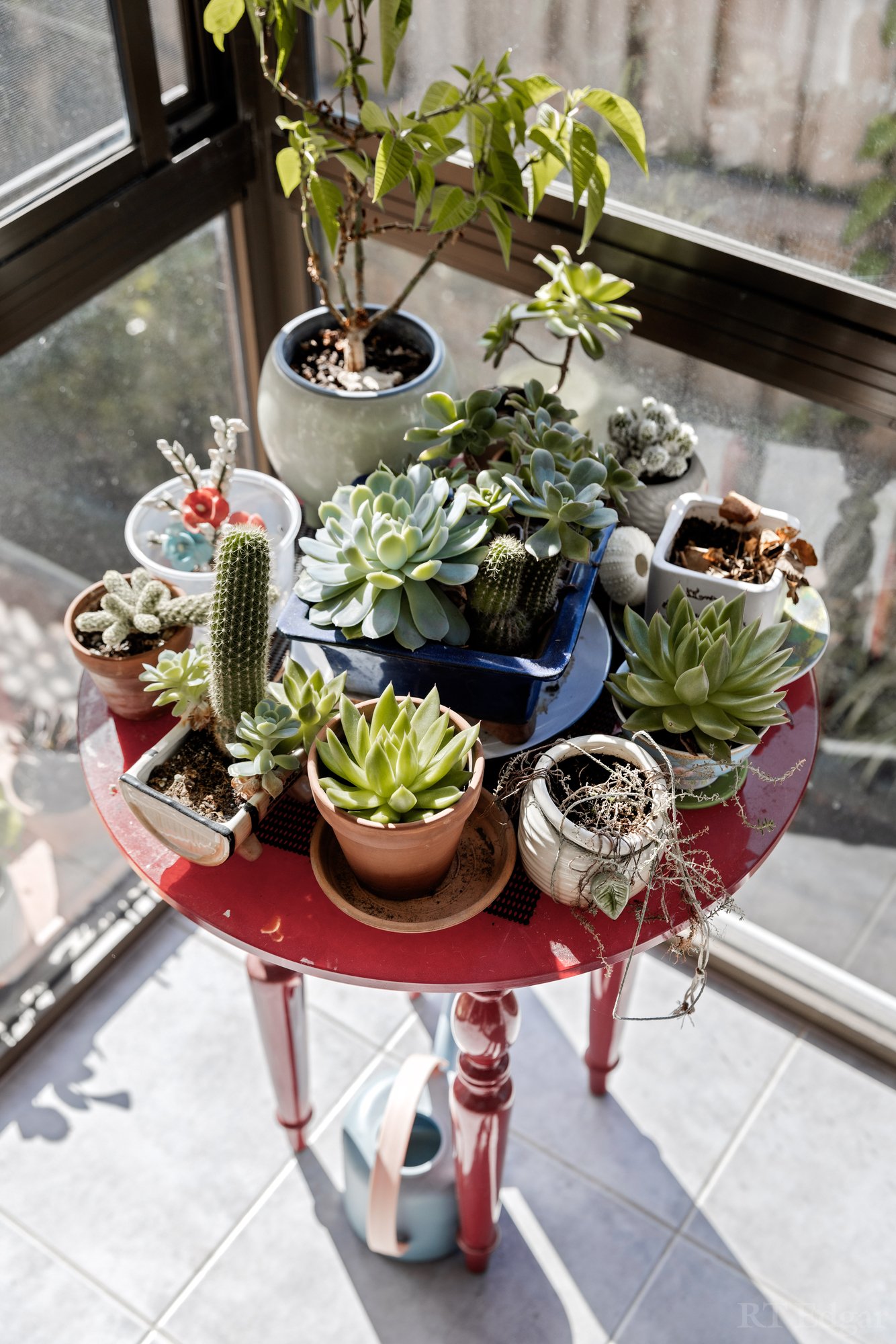 Real Estate and Property in 7/22 Middleborough Road, Burwood East, VIC