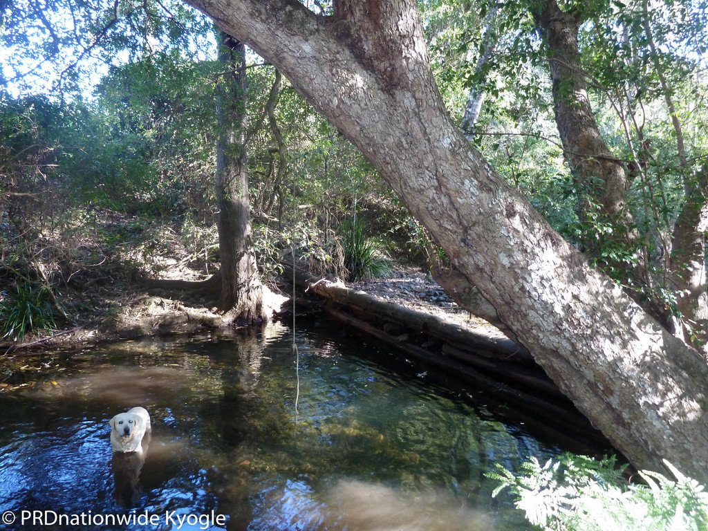 722 Roseberry Creek Road KYOGLE 2