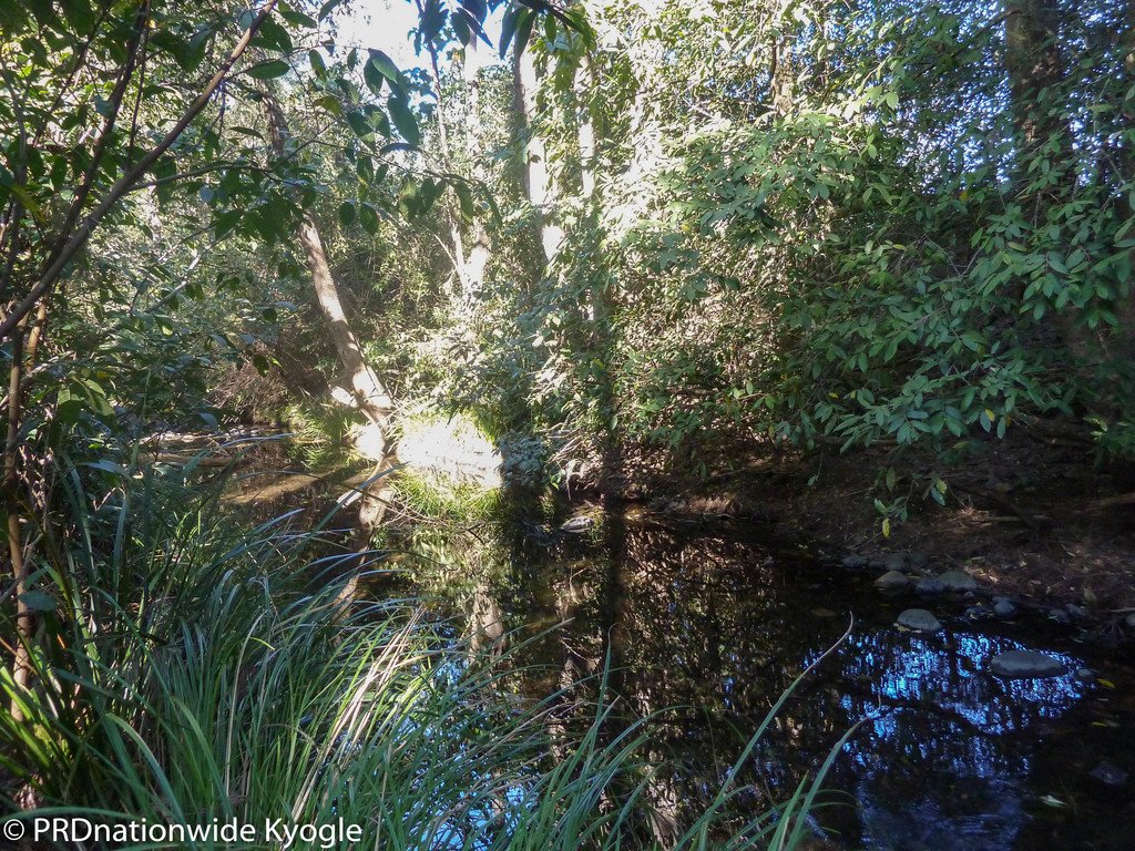 722 Roseberry Creek Road KYOGLE 7