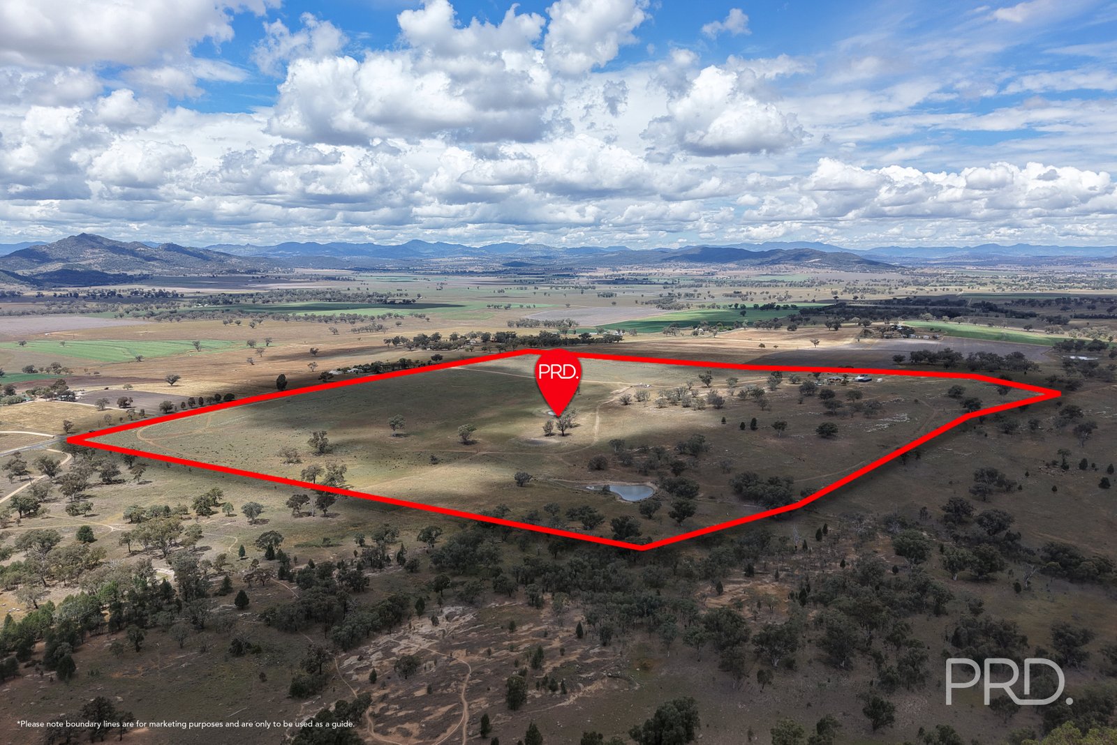 723 Borah Creek Road QUIRINDI 3