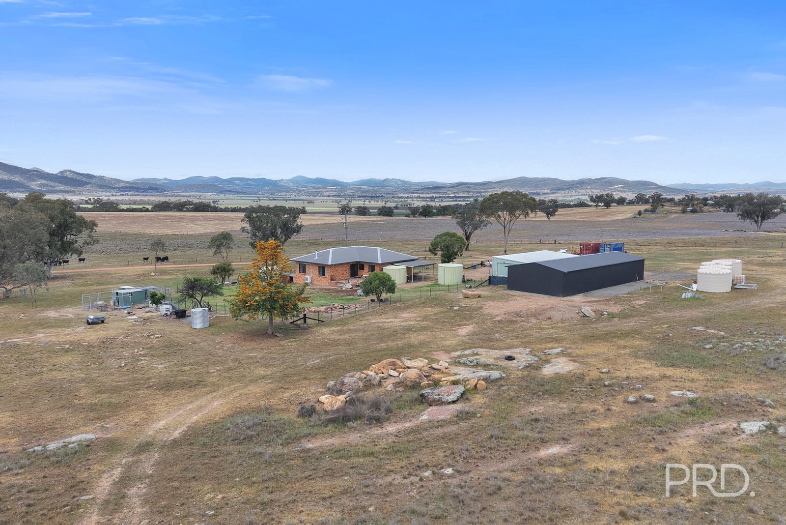 723 Borah Creek Road QUIRINDI 20