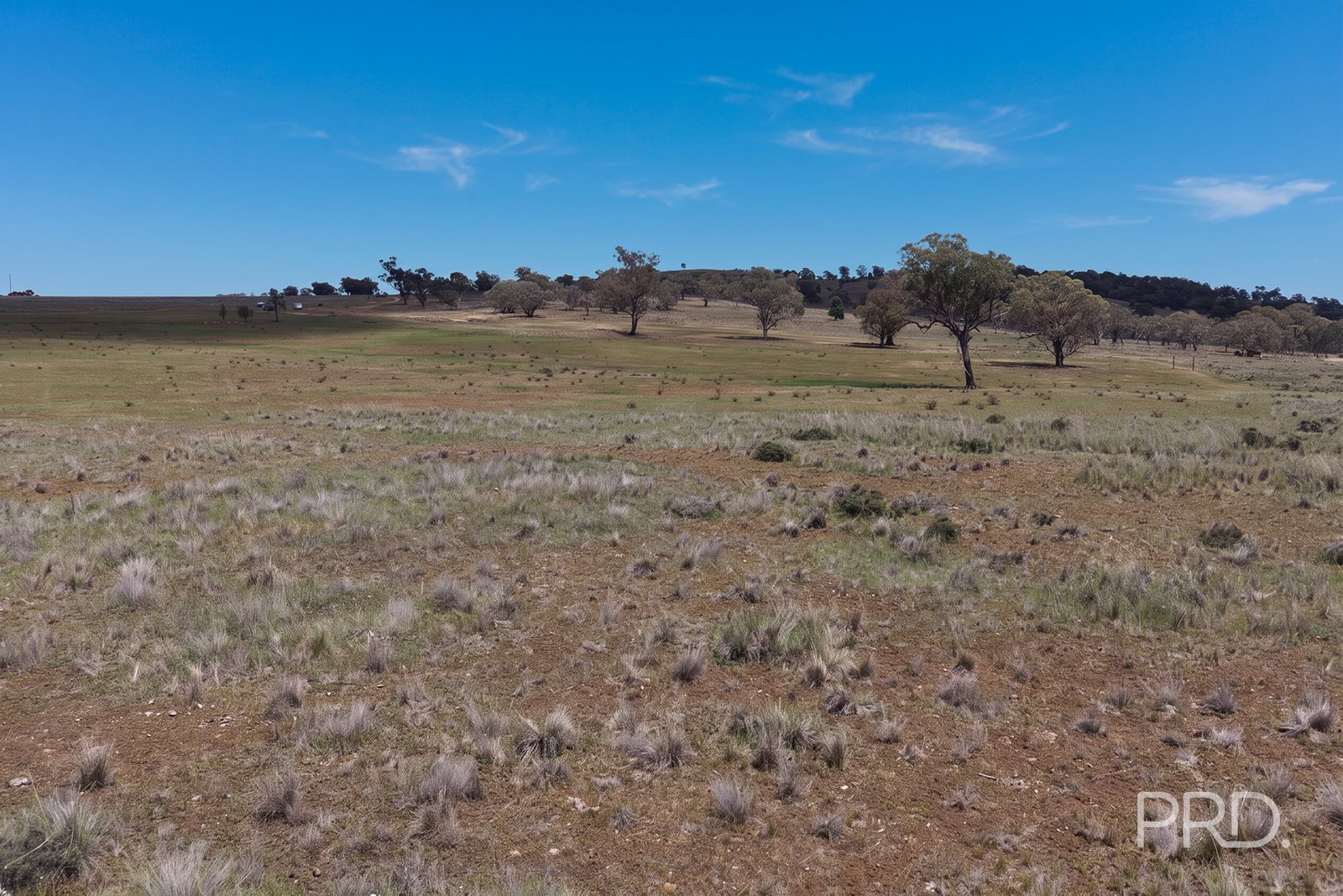 723 Borah Creek Road QUIRINDI 22