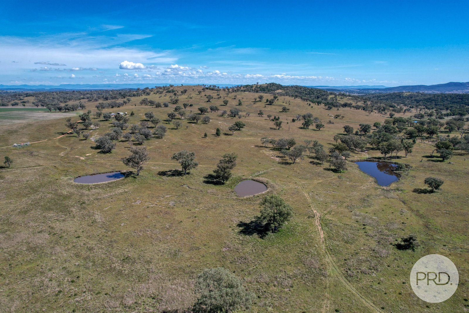 723 Borah Creek Road QUIRINDI 29