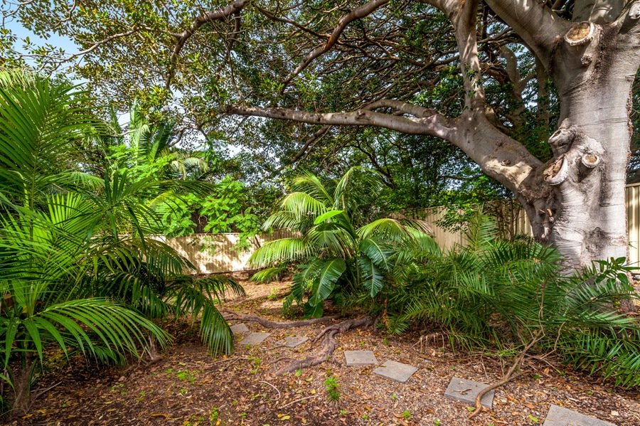 7/259 Maroubra Road MAROUBRA 8