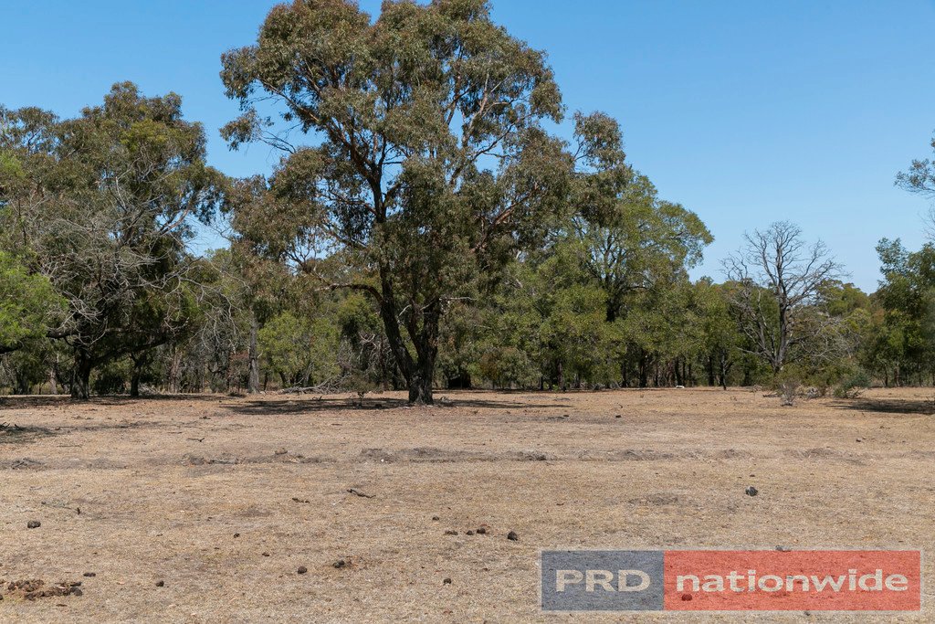 726 Moonlight Road BERRINGA 15