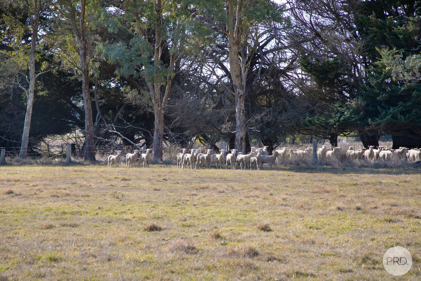 728 Brays Road ROSS CREEK 7