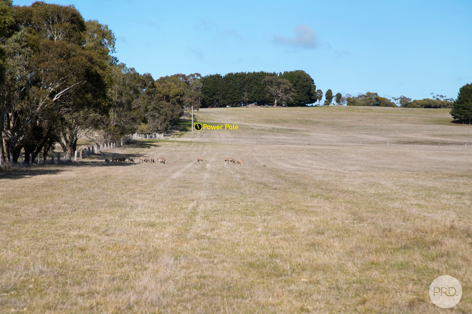 728 Brays Road ROSS CREEK 8