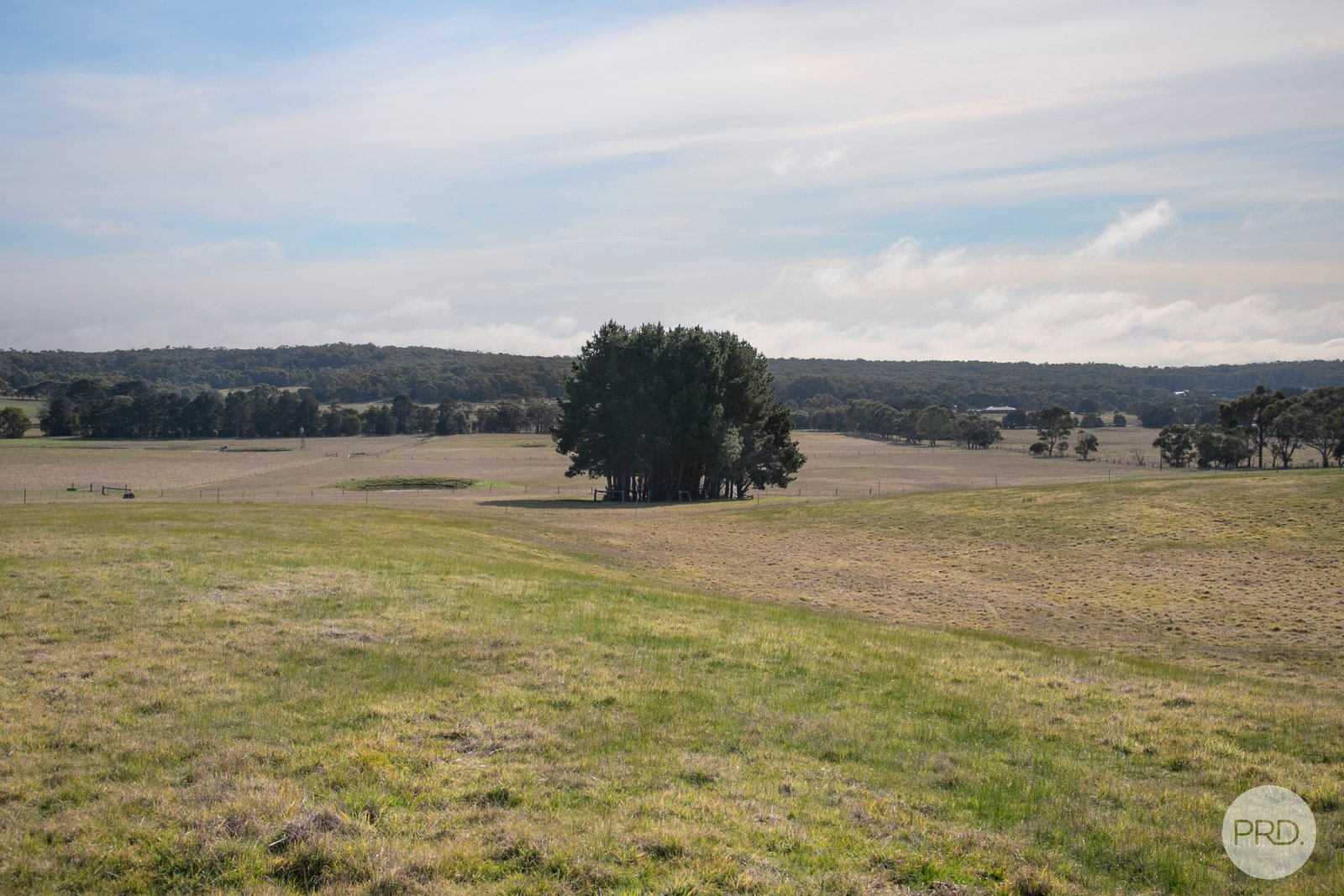 728 Brays Road ROSS CREEK 13