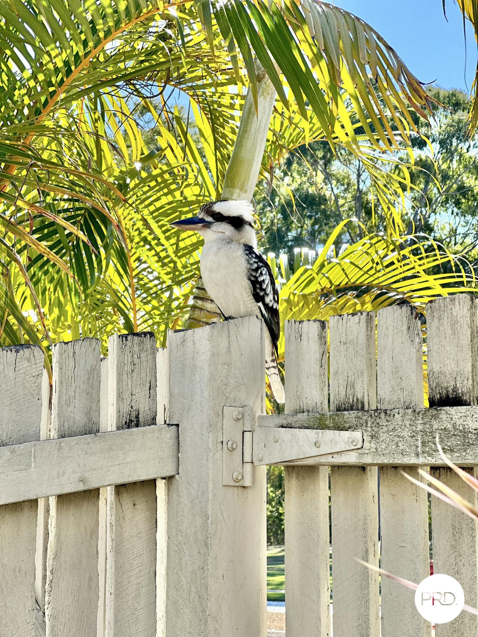 7/28 PARKSIDE Street TANNUM SANDS 16