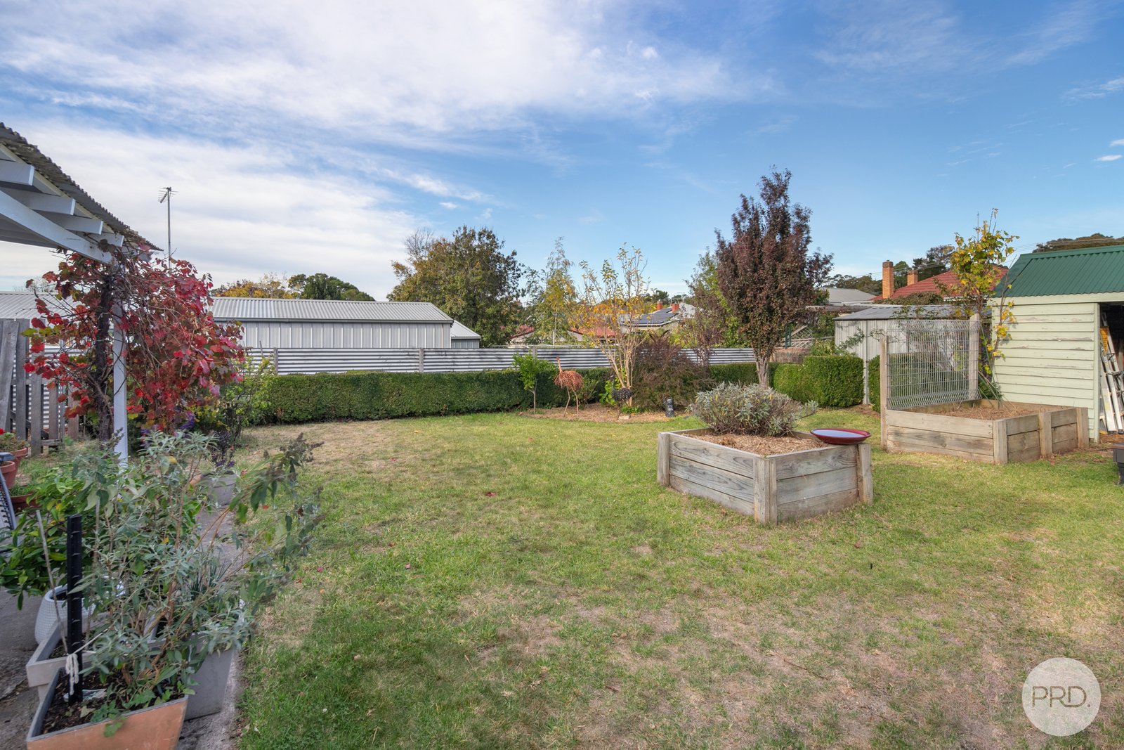 729 Laurie Street MOUNT PLEASANT 17