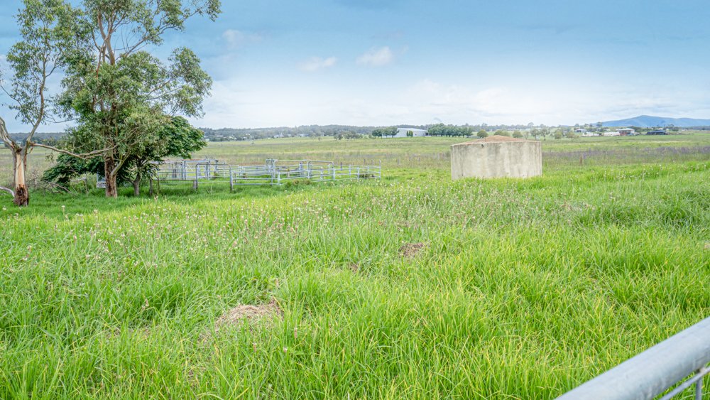 73 Dagworth Road GILLIESTON HEIGHTS 1