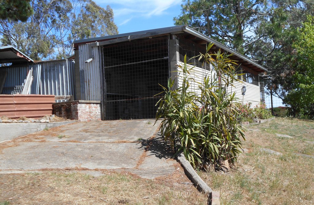 73 Dalhunty Street TUMUT 21