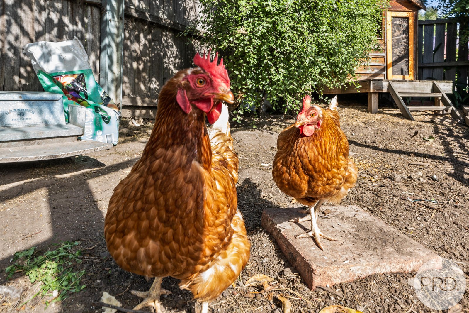 73 Geilston Creek Road GEILSTON BAY 11