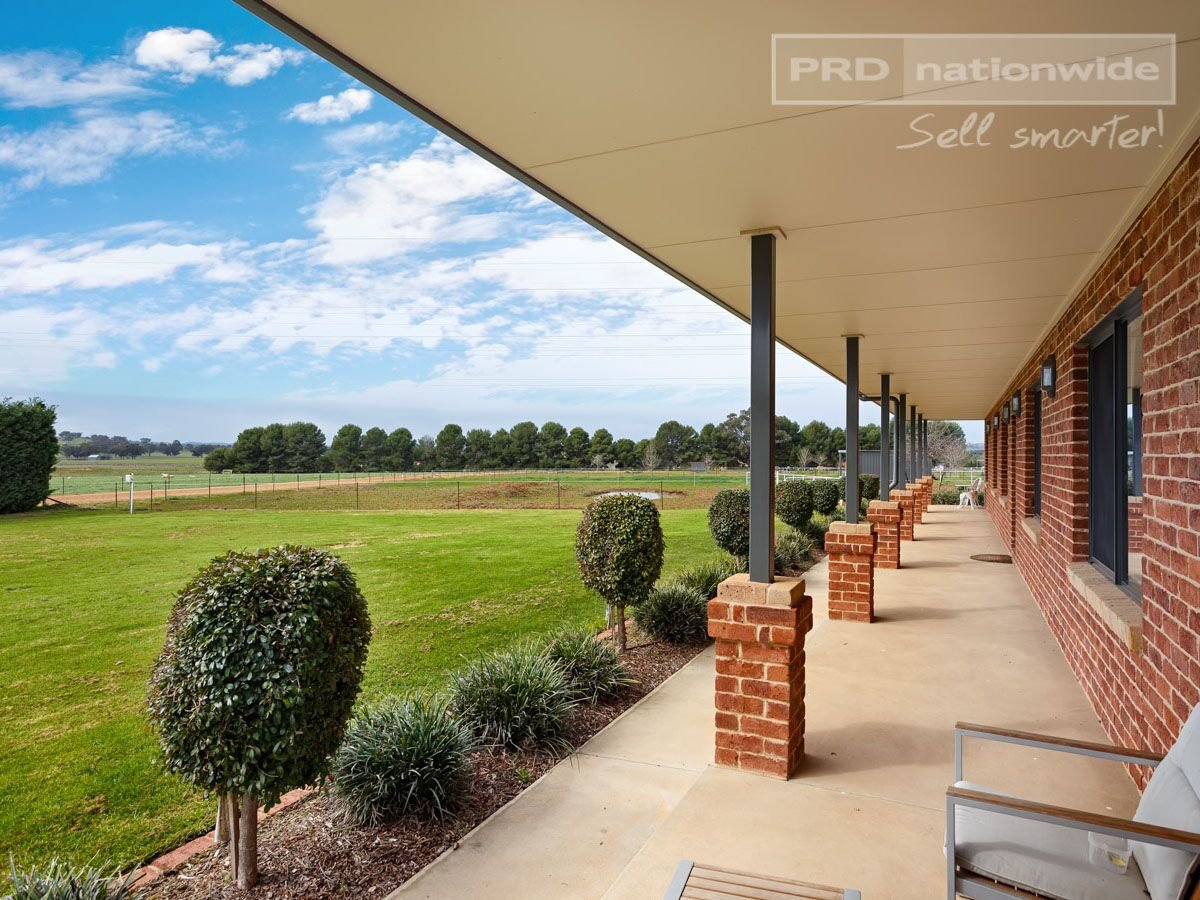 73 Mitchell Road LAKE ALBERT 17