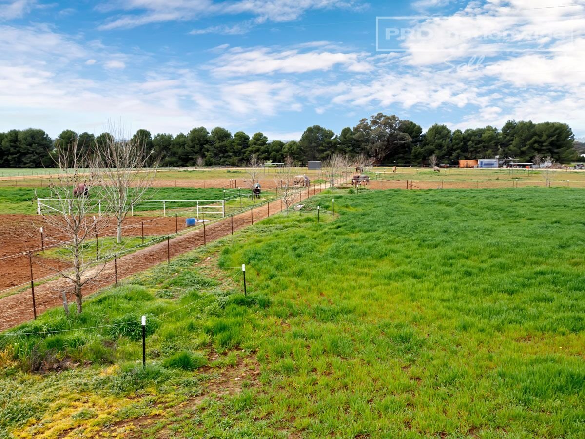 73 Mitchell Road LAKE ALBERT 18