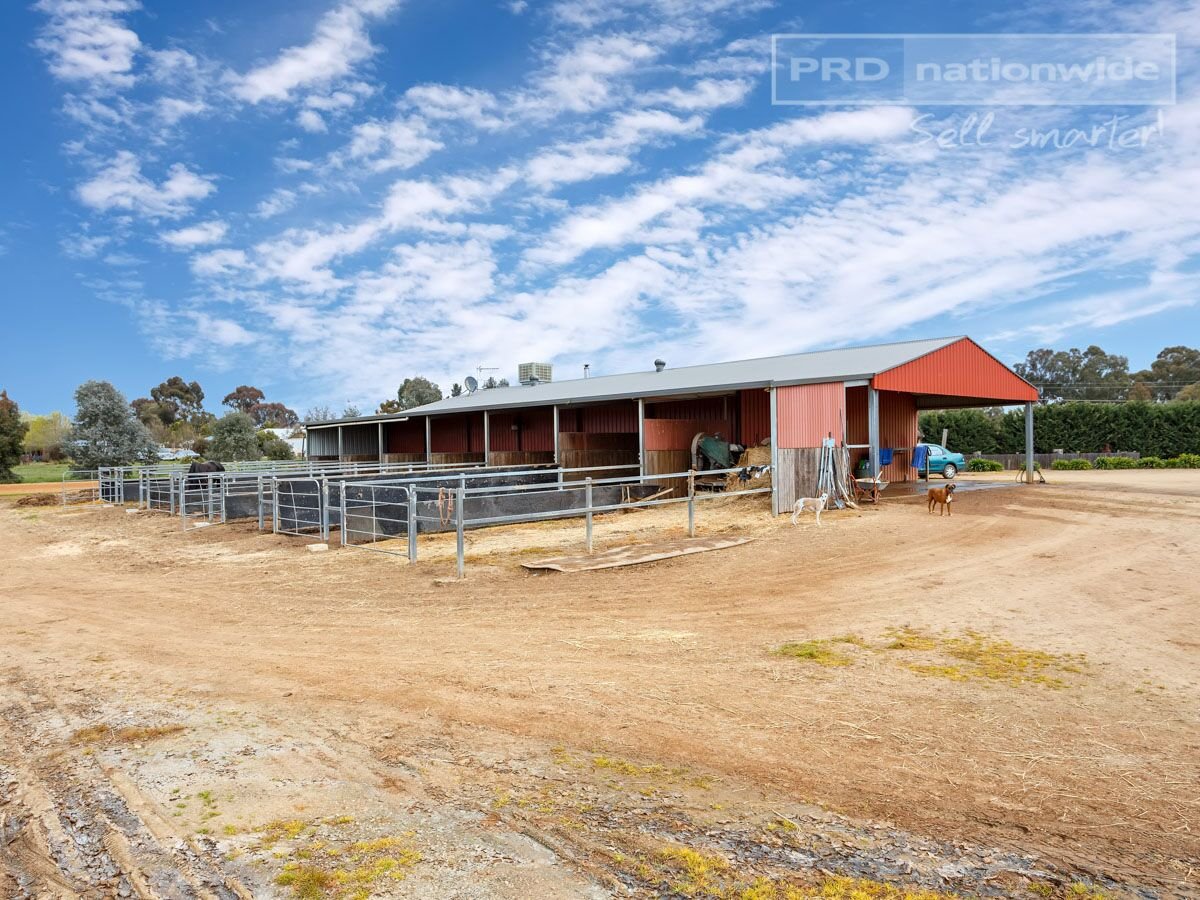 73 Mitchell Road LAKE ALBERT 19