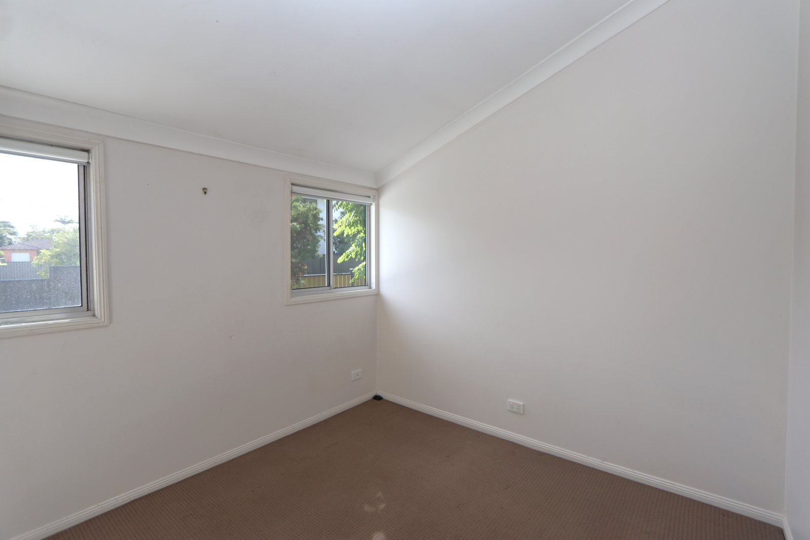 73 Musgrave Avenue LABRADOR 14