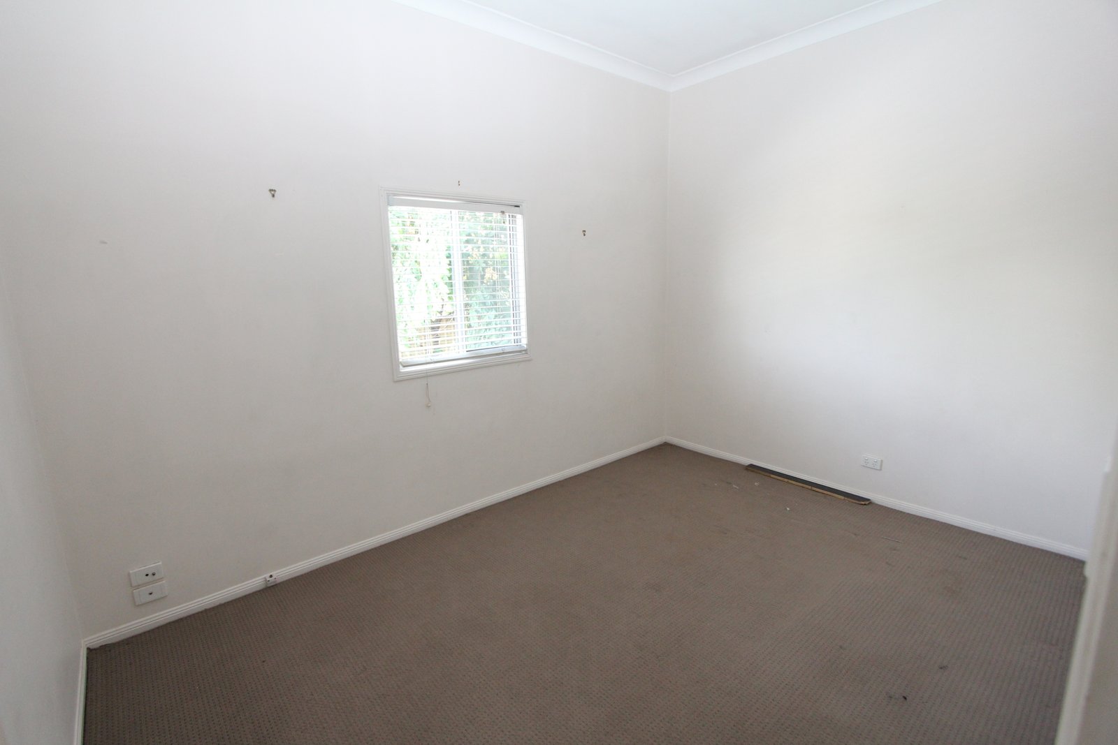 73 Musgrave Avenue LABRADOR 5