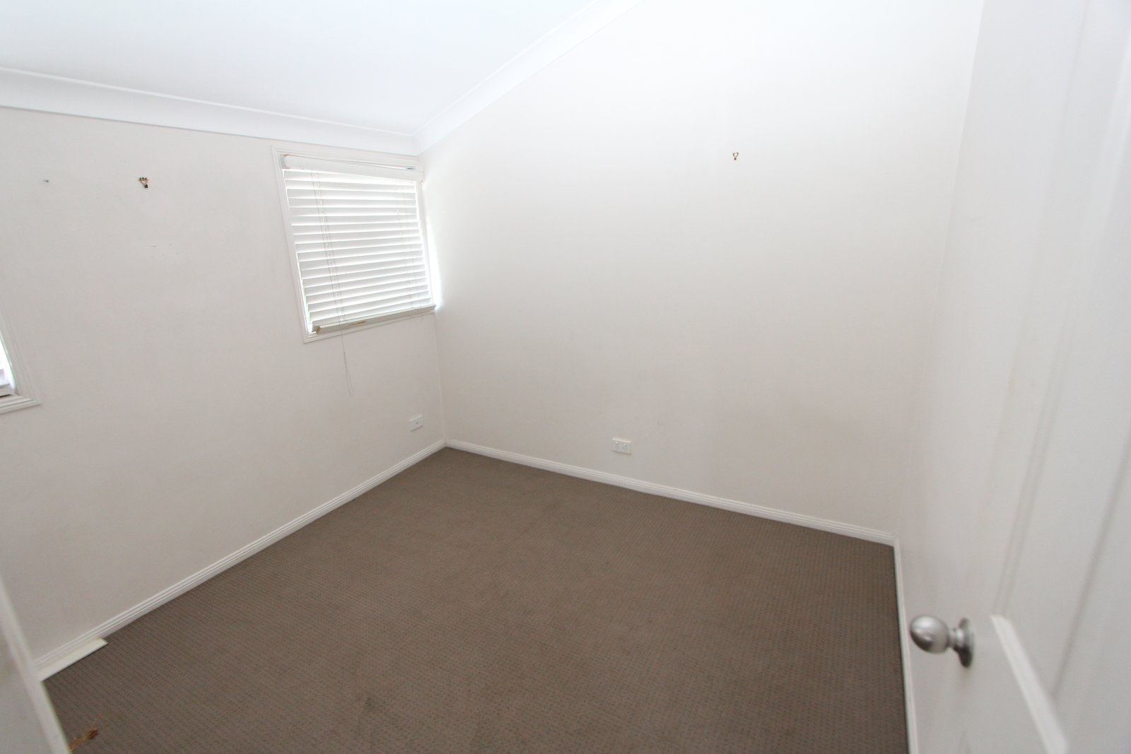 73 Musgrave Avenue LABRADOR 8