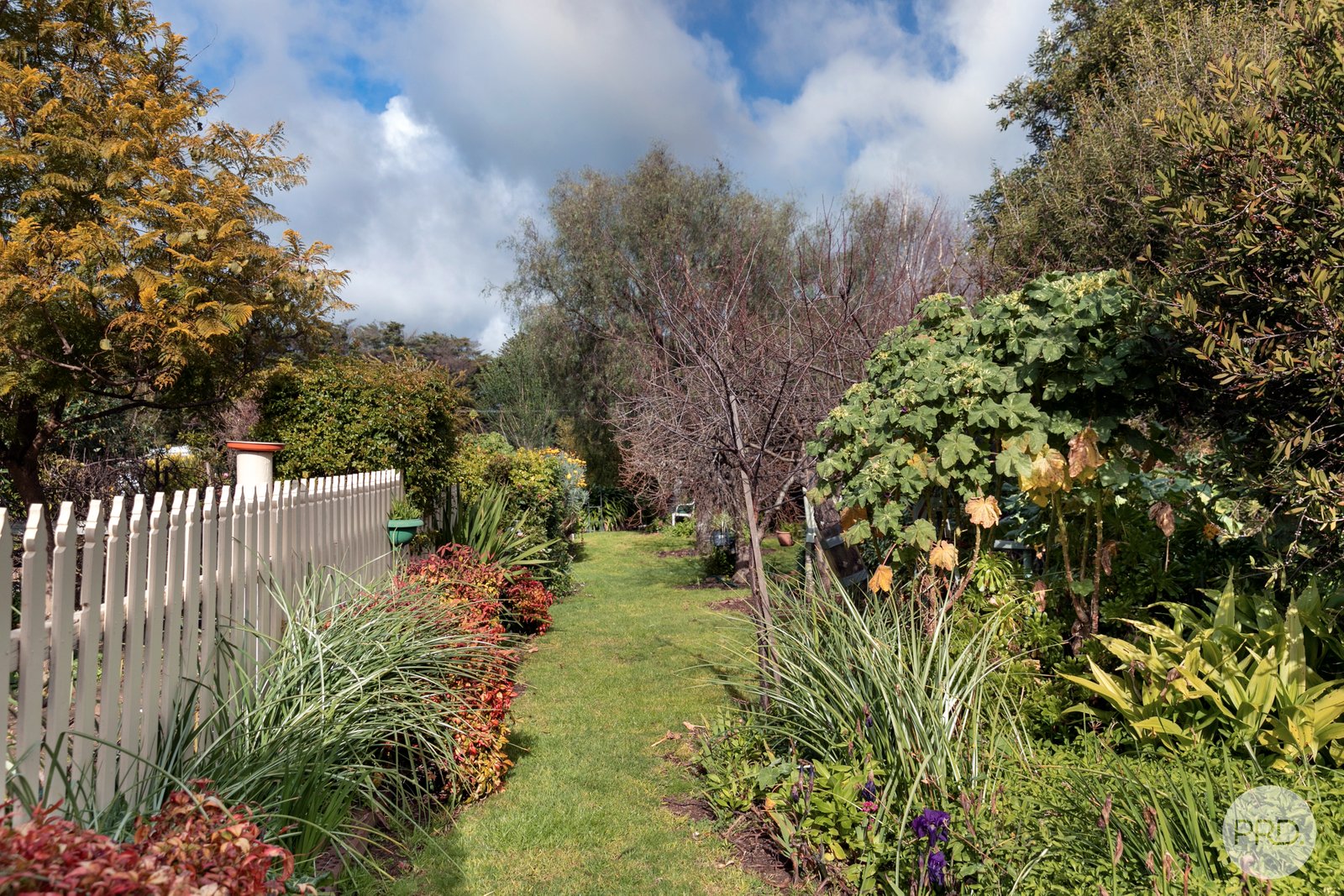 73 Oman Street LISMORE 12