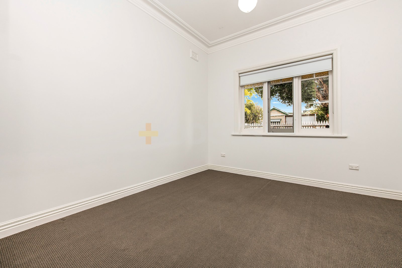 Gallery: 73 Queensville Street