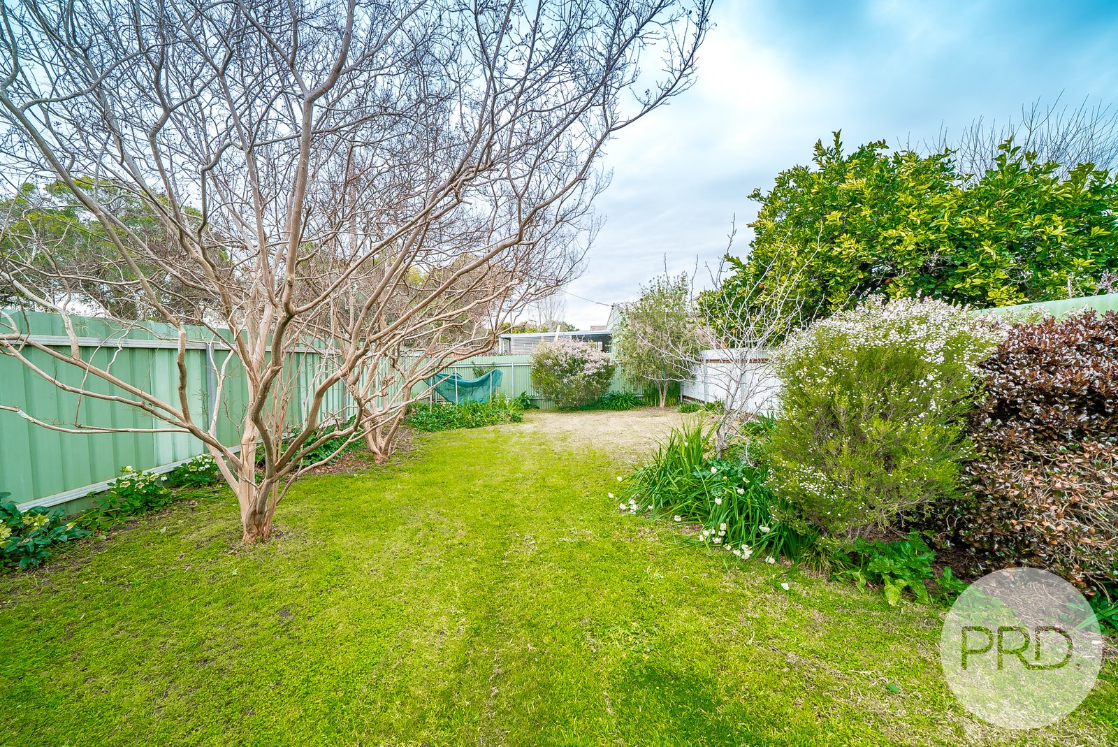 73 Simmons Street WAGGA WAGGA 12