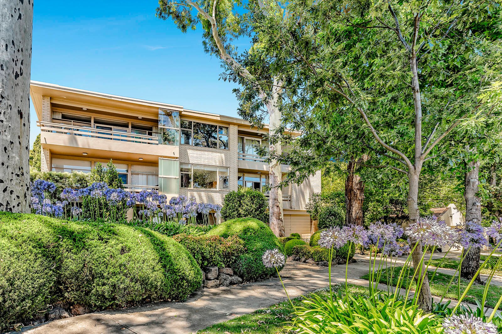 7/30 Lansell Road, Toorak