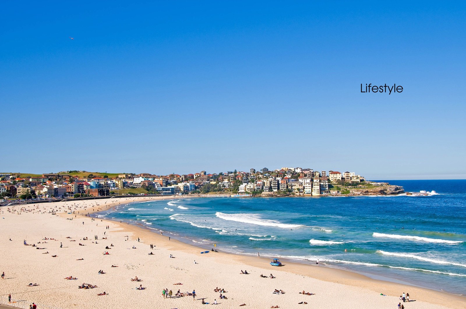 7/312 Bondi Road BONDI 10