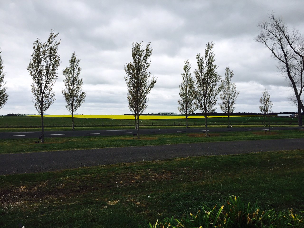 737 Remembrance Drive CARDIGAN VILLAGE 2