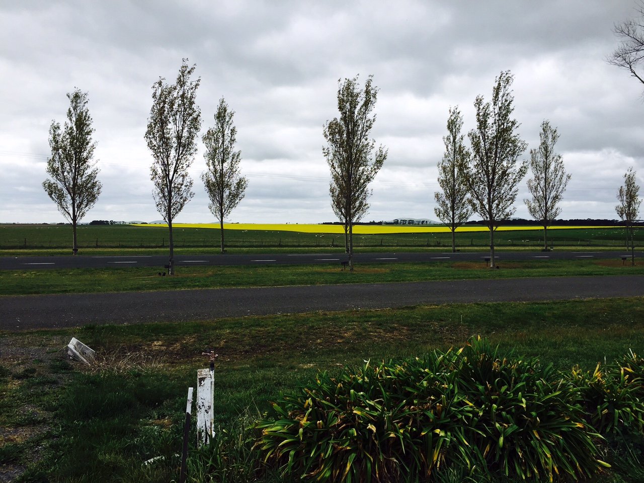 737 Remembrance Drive CARDIGAN VILLAGE 3