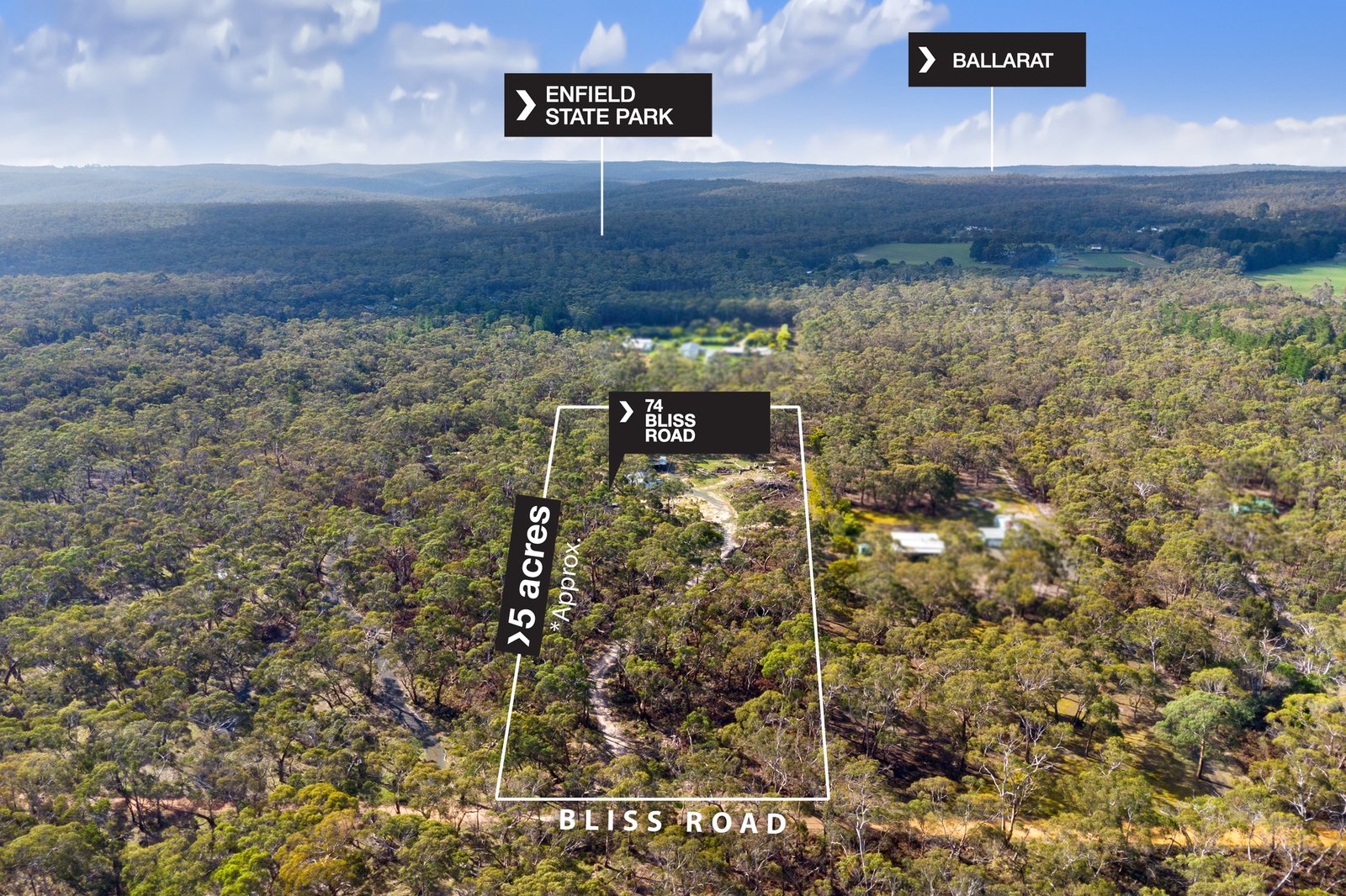 Gallery: 74 Bliss Road