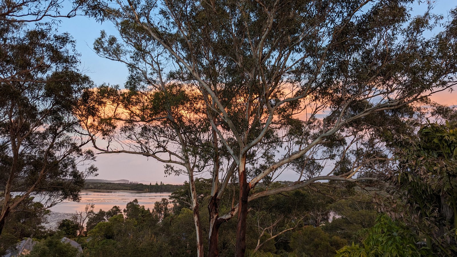 74 Camden Head Road DUNBOGAN 13