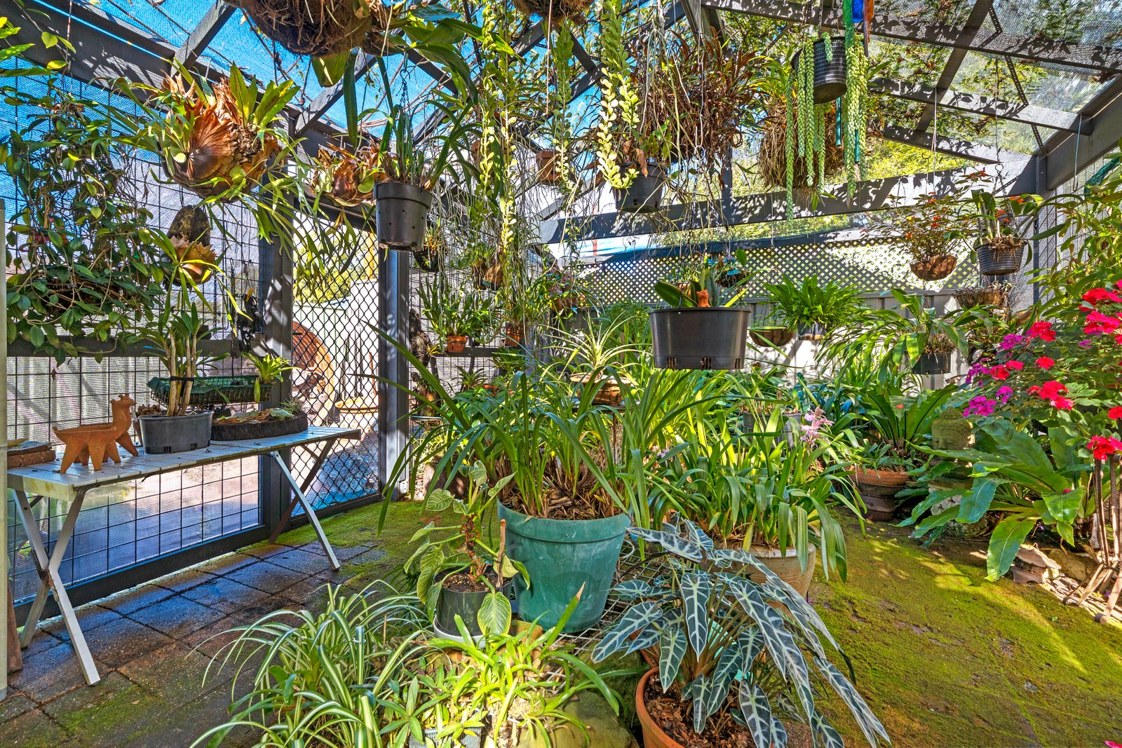 74 Camden Head Road DUNBOGAN 23