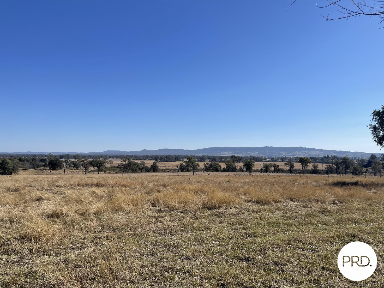 74 Ebenezer Road EBENEZER 8