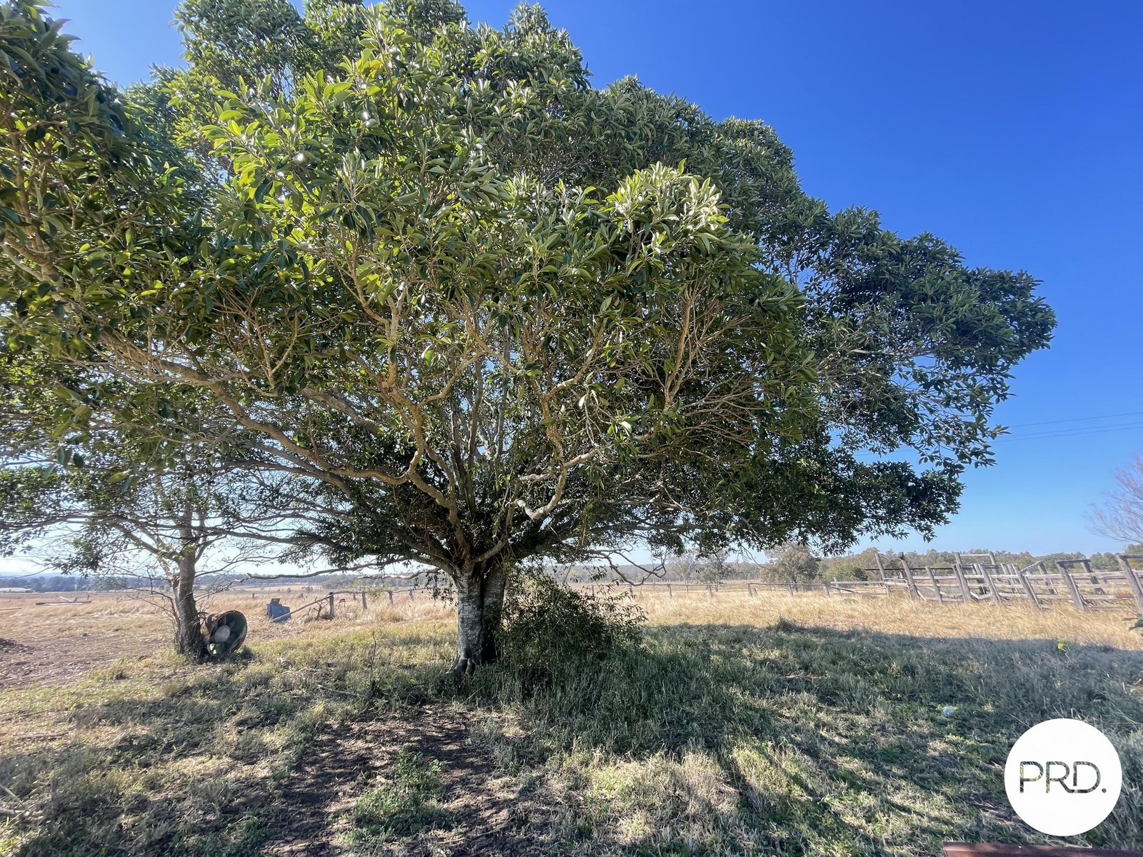 74 Ebenezer Road EBENEZER 13