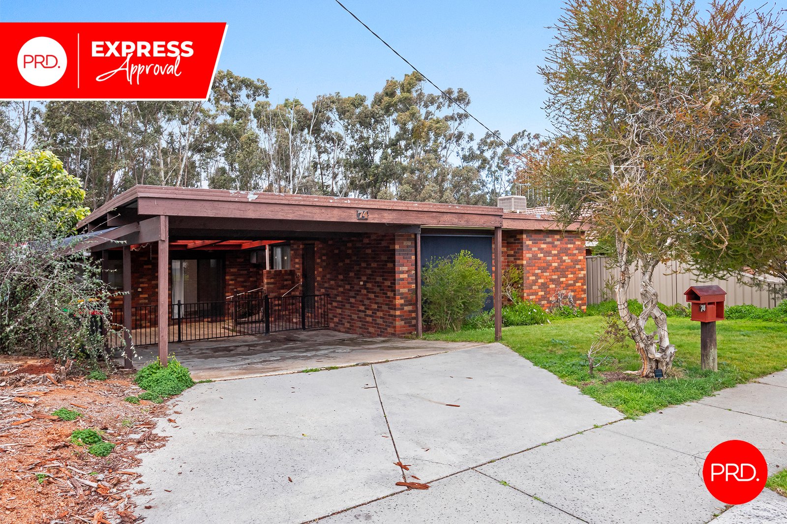 74 Gill Ave  CALIFORNIA GULLY 1