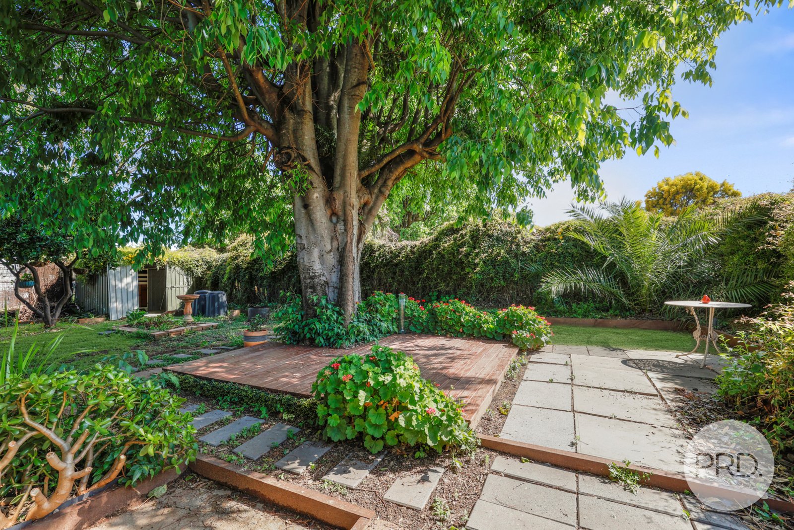 74 Piper Street TAMWORTH 15
