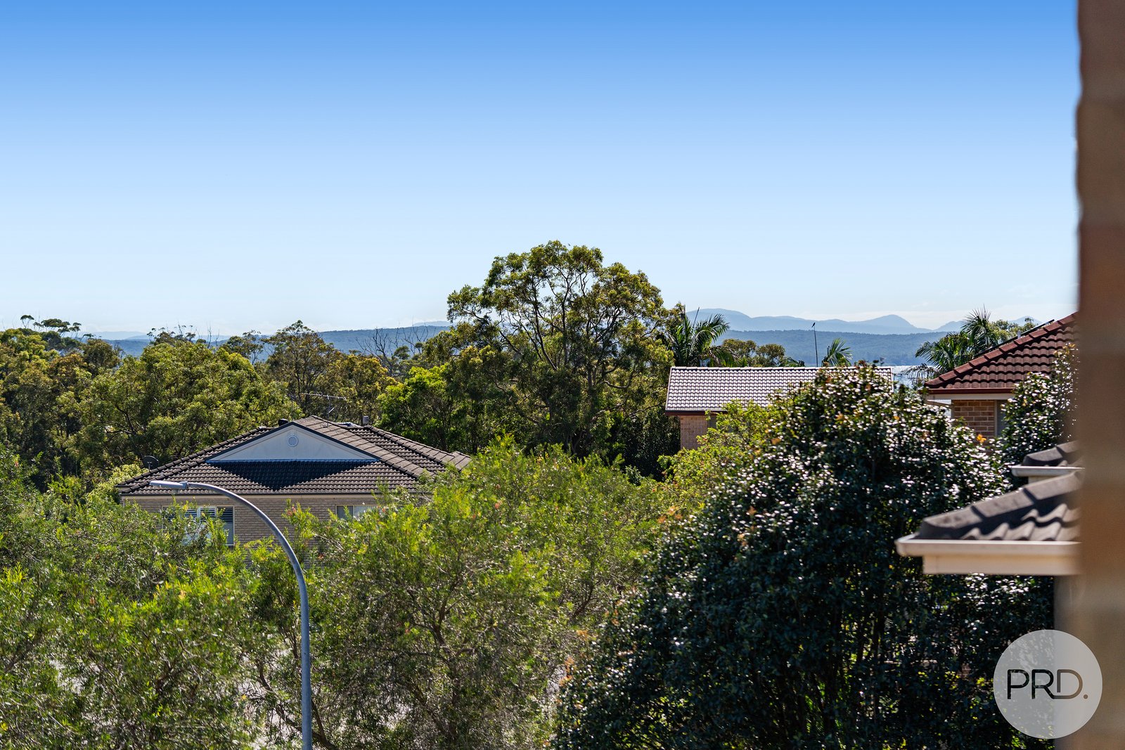 74 Saratoga Avenue CORLETTE 11