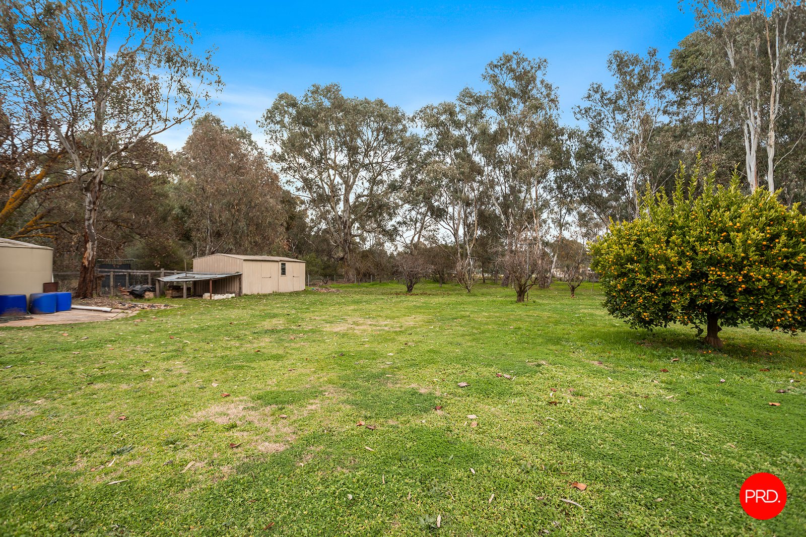 74 Strickland Street ASCOT 19